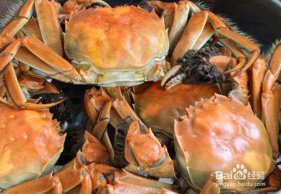 螃蟹收到货怎么保存
