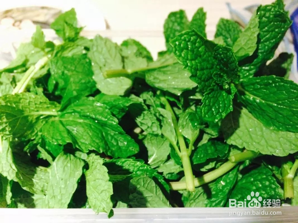 怎样制作的莫吉托最好喝?这样。