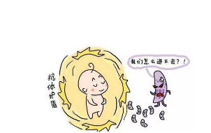 冬虫夏草的功效与作用