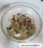 手抓羊羔排的做法