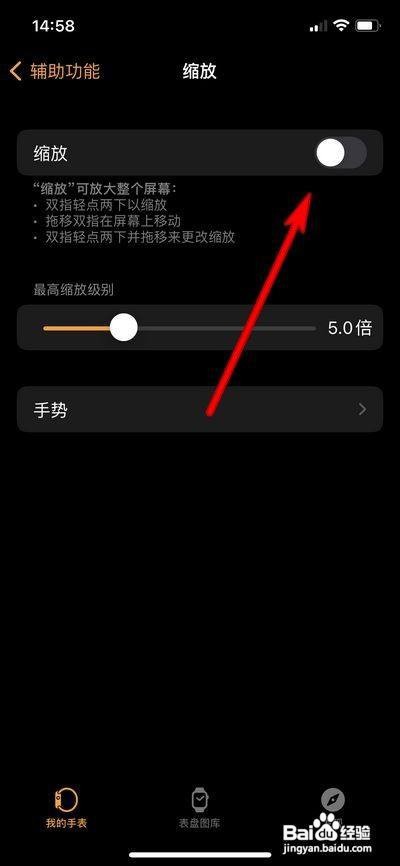 苹果手表怎么打开缩放