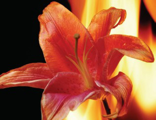 摄影构图的十大禁忌