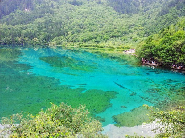四川九寨沟、黄龙3天2夜旅游攻略