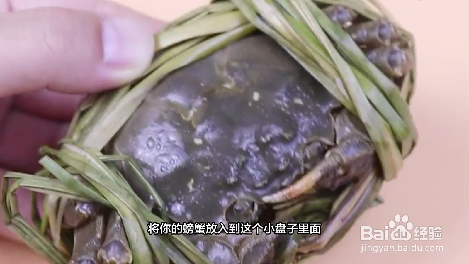 蟹怎么存放保持新鲜