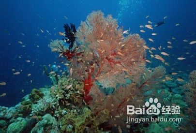 三亚亚龙湾旅游攻略