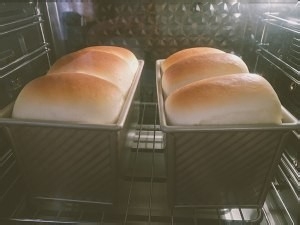 70%中种北海道奶油吐司的做法