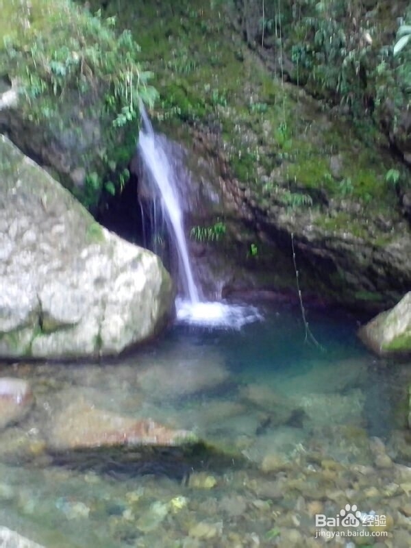 青城后山游览