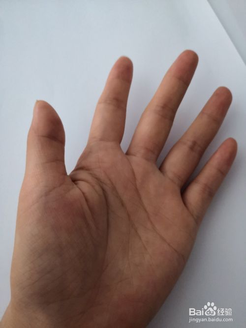 以内的加法计算方法 百度经验 以内的加法计算方法 百度经验