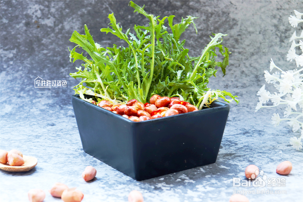 不能拒绝的花生苦菊