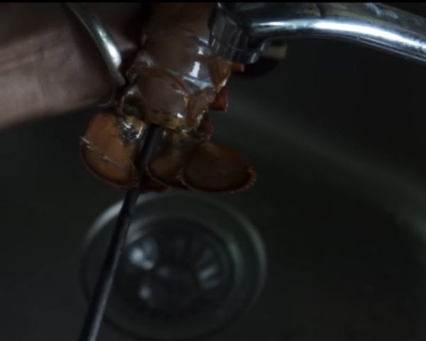 盐焗波士顿龙虾