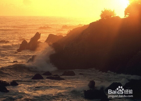 怎样判断脸上痘痘判别病症，预防病症保健康？