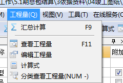 #过年#如何提高图形算量技能-查看工程量