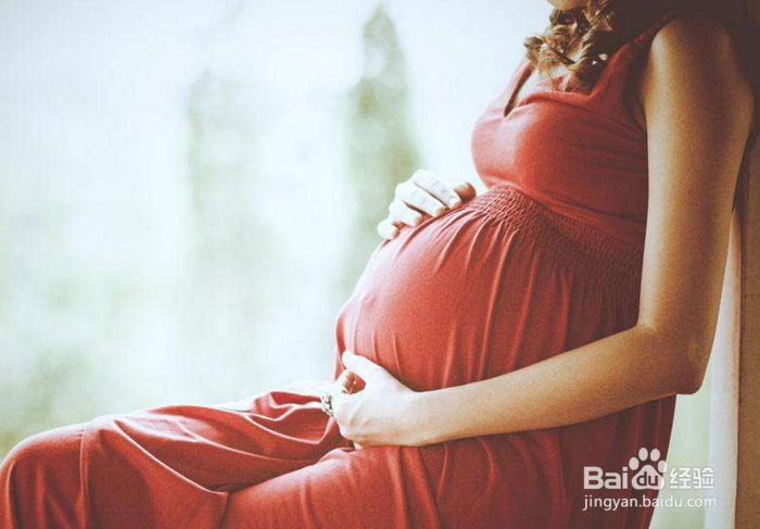 菊苣栀子茶适合的人群有哪些?