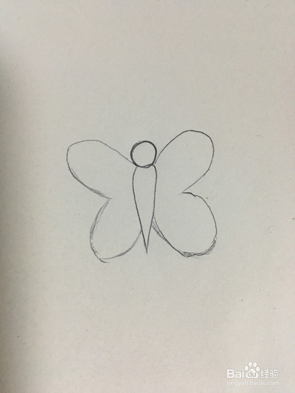 幼儿简笔画：美丽的蝴蝶