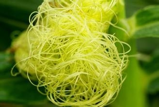 生活小常识（二）：[2]