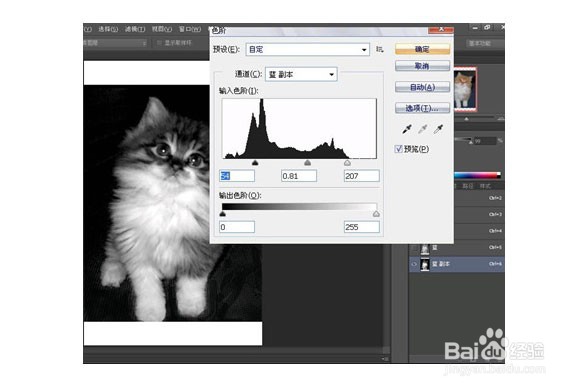 Photoshop制作星空猫图案