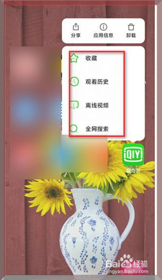 爱奇艺怎么更换桌面快捷方式的样式