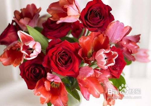 鲜花怎么保鲜-八种方法让鲜花延长美丽