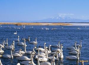 威海的免费景点第二波