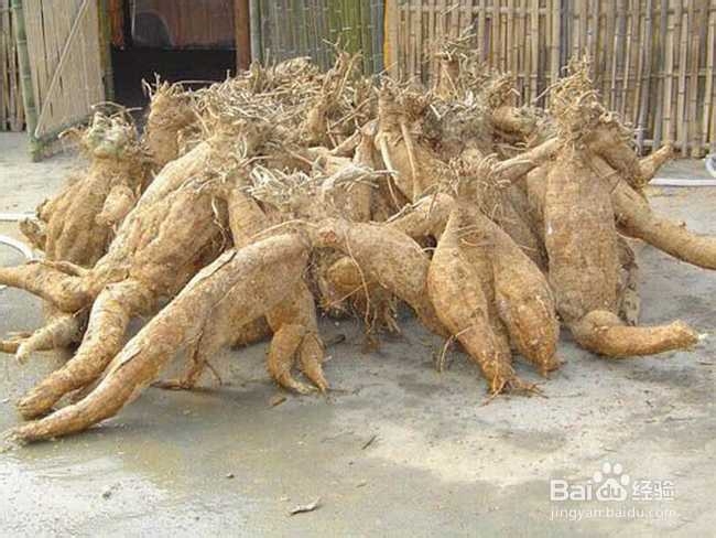 十一张家界旅游攻略