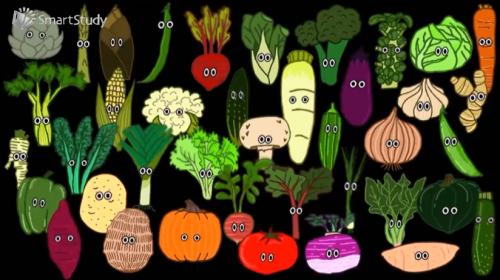 vegetable是什么意思