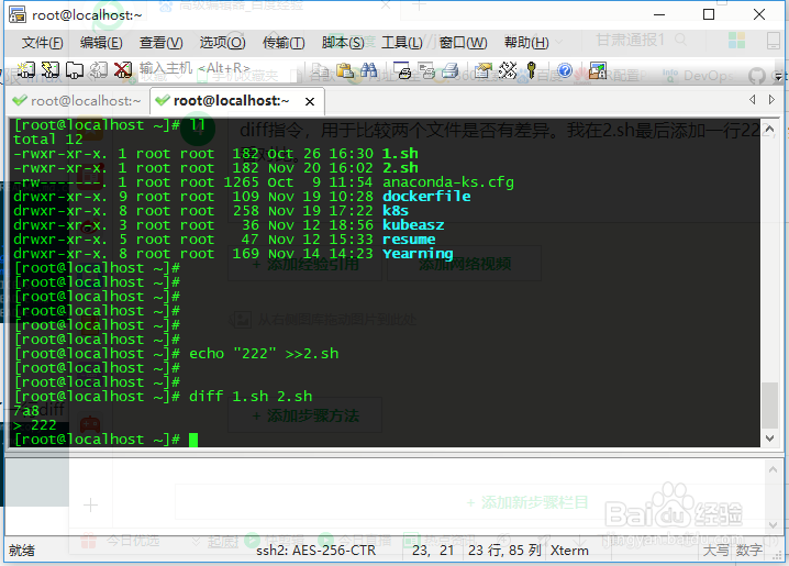 linux命令行之文件操作