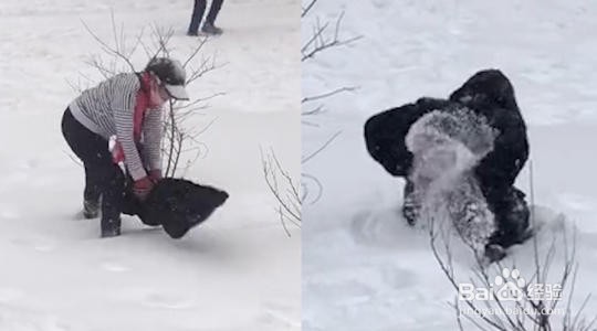 貂皮用雪怎么清洗