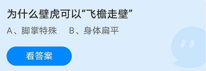 为什么壁虎可以”飞檐走壁”蚂蚁庄园