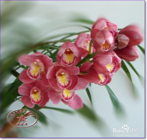 【PS】场景模糊的使用技巧