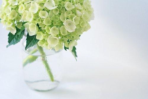 正能量句子早安语