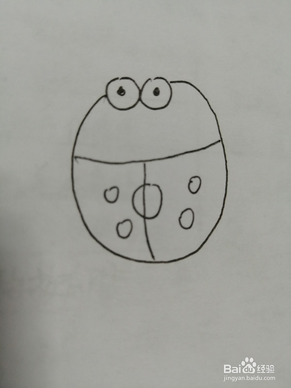 简笔画小瓢虫怎么画