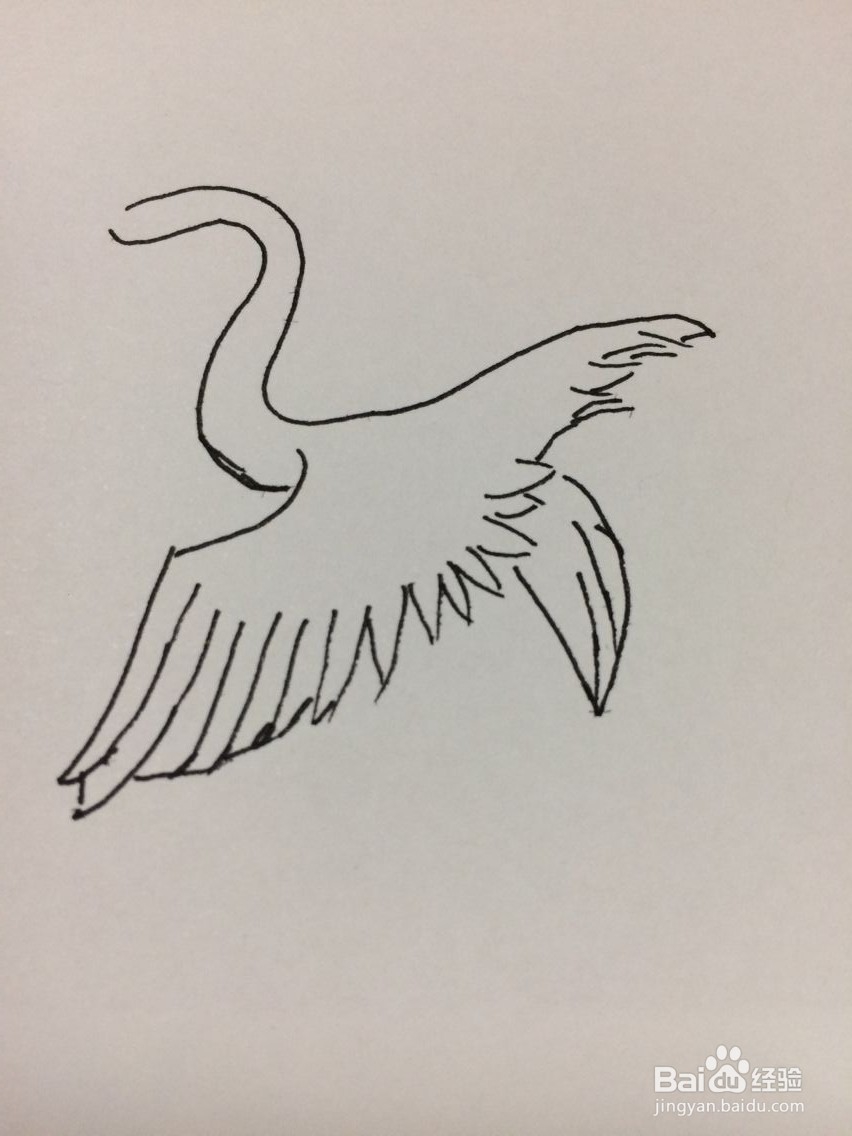 简笔画仙鹤的方法