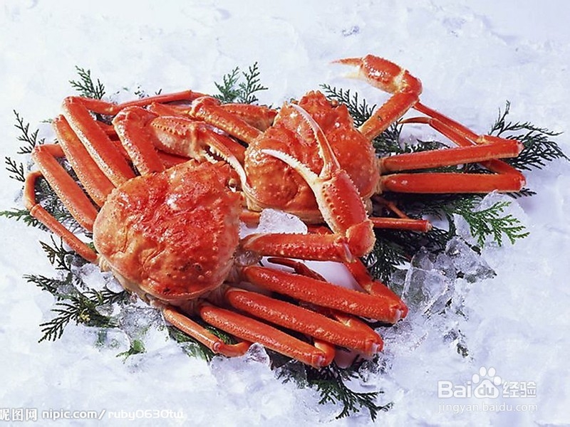 【饮食篇2】怎么吃海鲜安全？海鲜如何正确食用