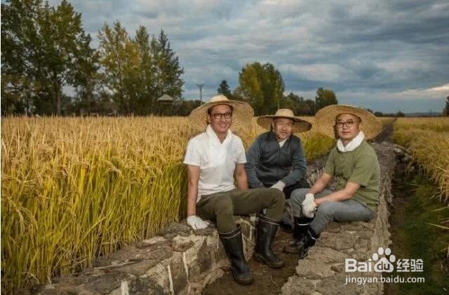 周杰捐献2万斤大米!他如何从娱乐圈走出来的