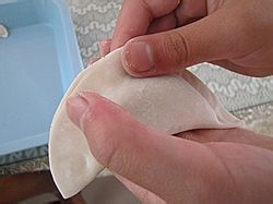 【我爱我的家】----西瓜皮鲜肉饺子