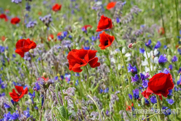 如何守护身体阳气及升阳食物有哪些