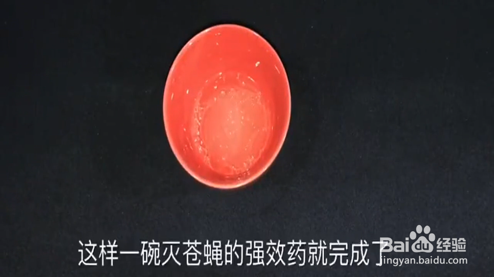 如何快速消灭厨房里的苍蝇