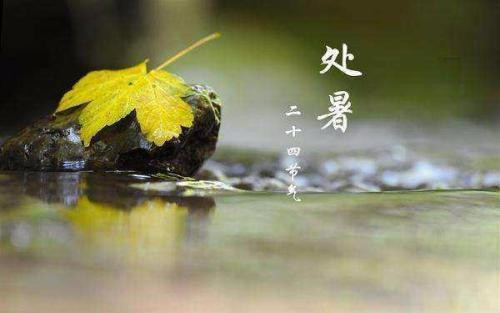 疾风驱急雨，残暑扫除空.啥意思