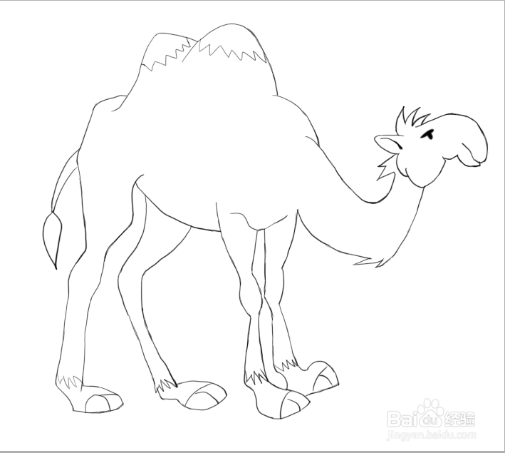 简笔画沙漠之舟骆驼的画法