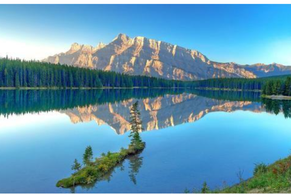 我要写一个和做家务有关的作业,做什么家务最合适呢