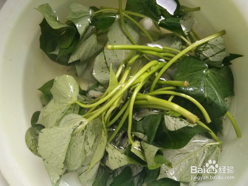 家常菜―清炒地瓜叶