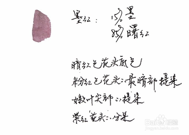 成人学国画第一步——调色笔记