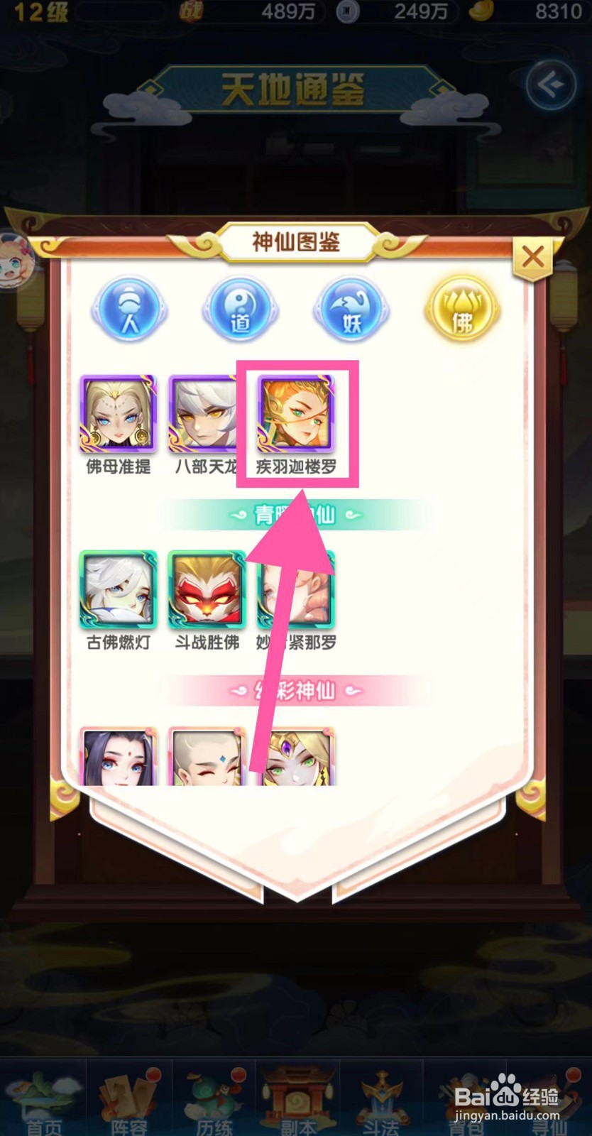 道友请留步怎么查看疾羽迦楼罗的合道状态