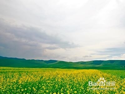 如何起名：[4]寓情于景法