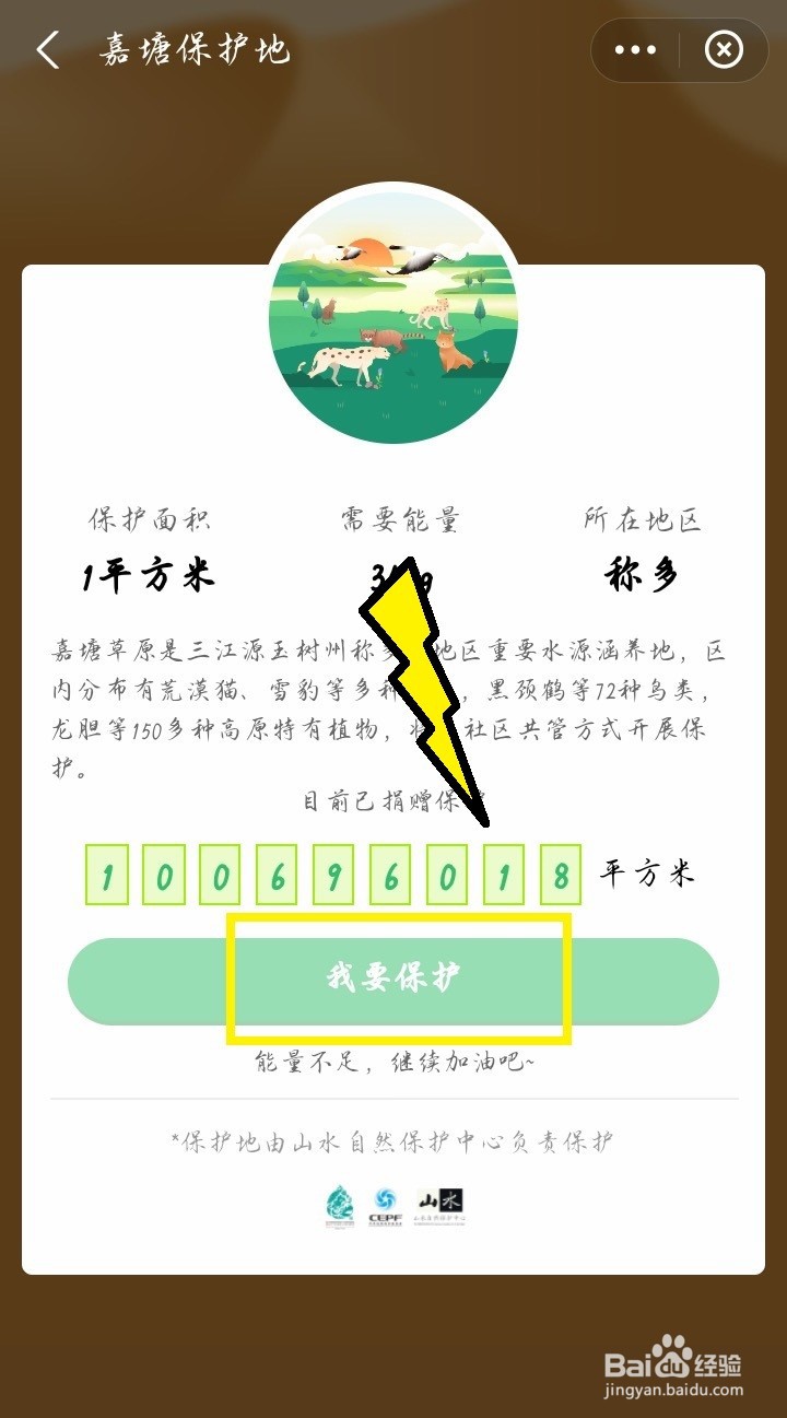 #新人打卡#蚂蚁森林如何申请种树