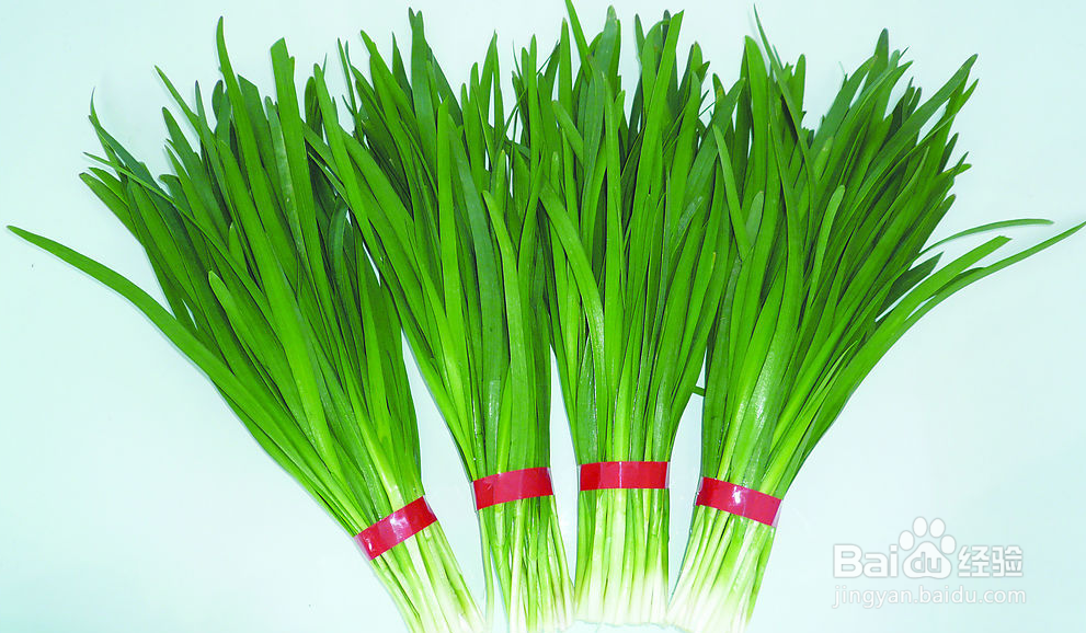 如何挑选韭菜