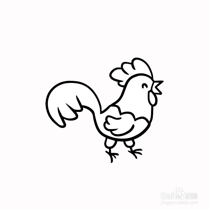 简单彩色公鸡的简笔画