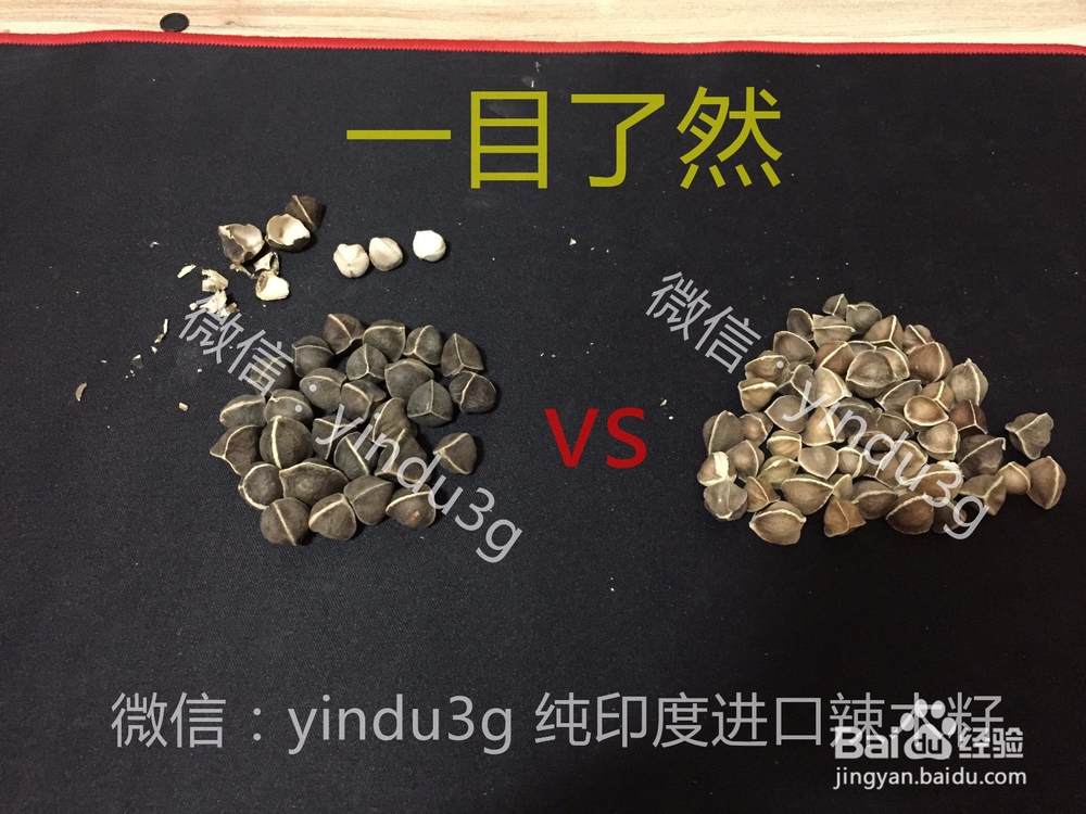 辣木籽多少钱一斤？印度辣木籽好在哪里？