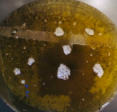 椒盐蘑菇-超好吃的下酒菜