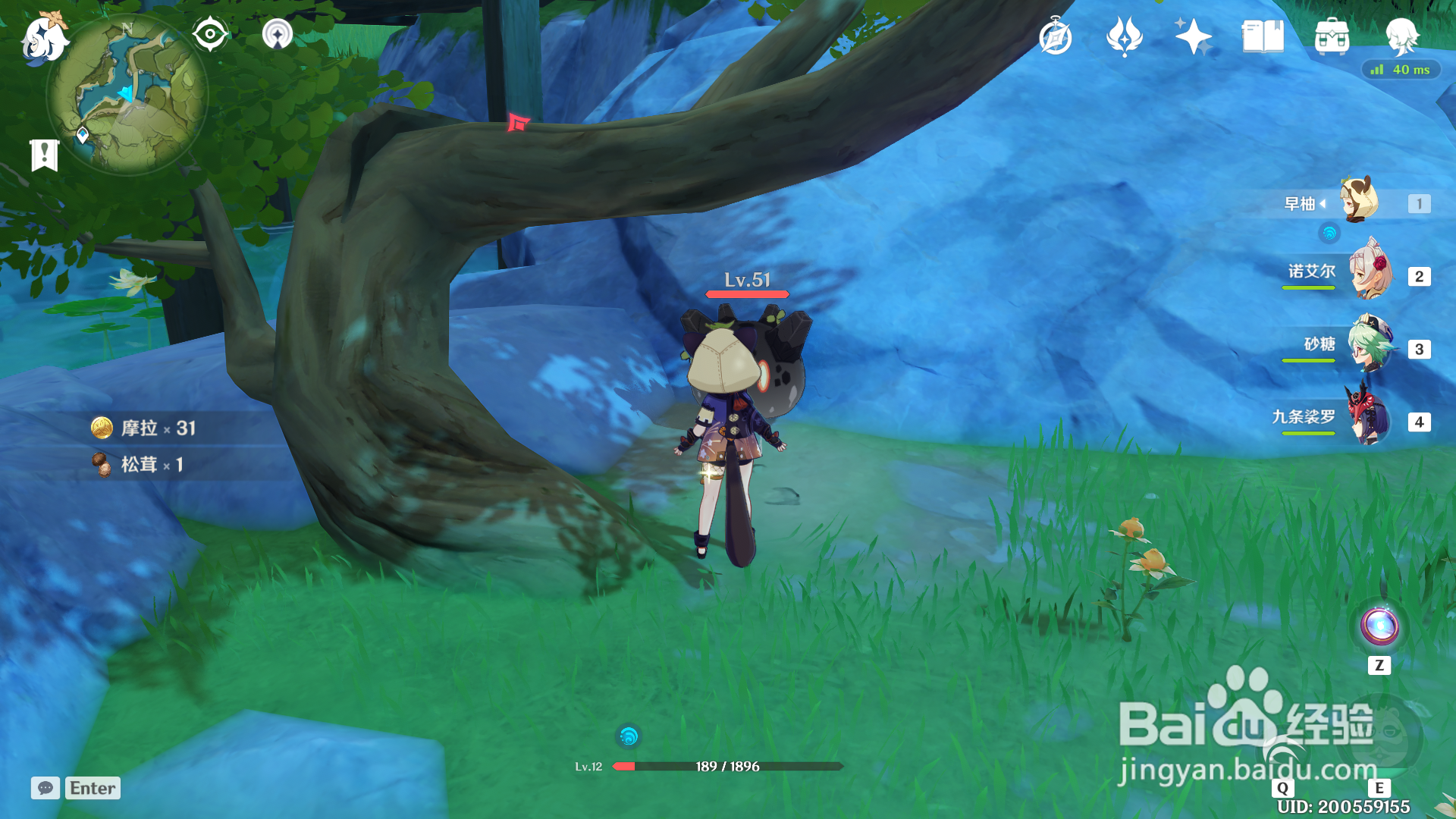 原神松茸在哪获得